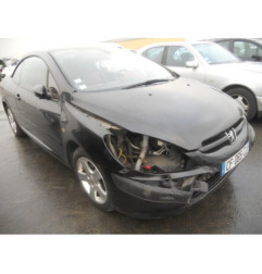 Malle/Hayon arriere PEUGEOT 307
