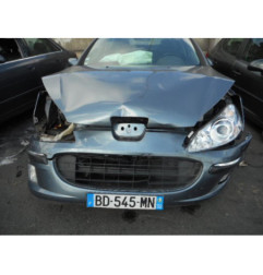 Bouton/Interrupteur PEUGEOT 407