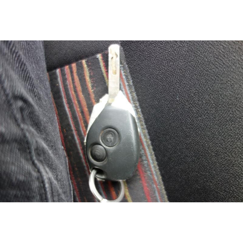 Porte avant droit RENAULT MODUS Photo n°12