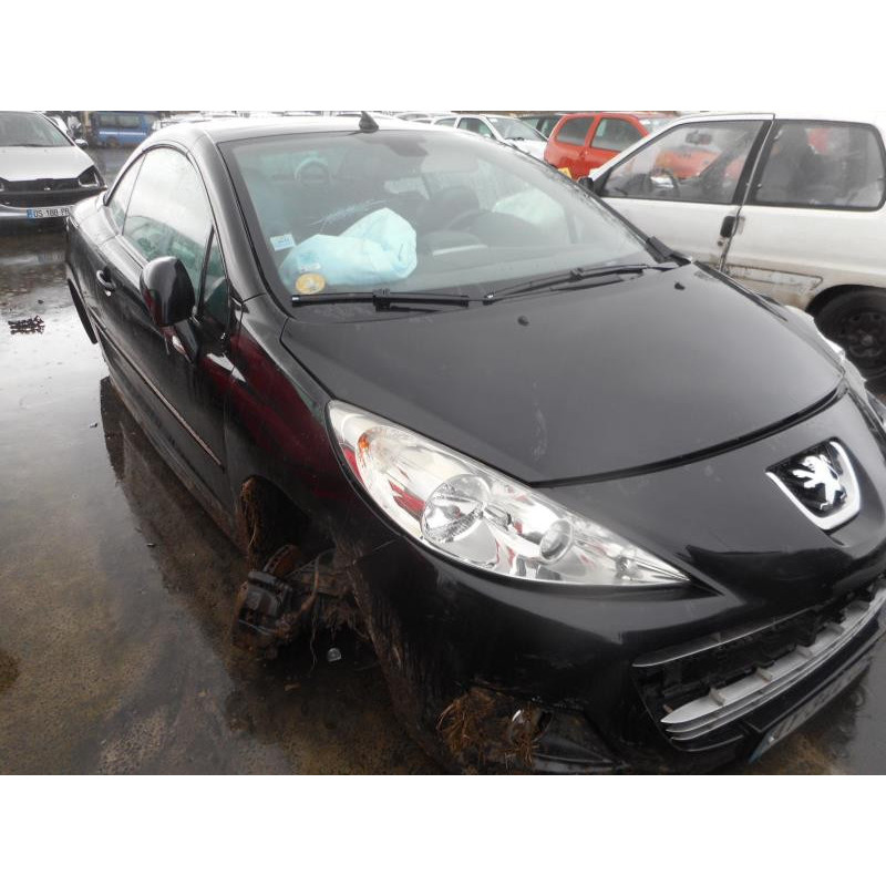 Custode arriere gauche PEUGEOT 207 Photo n°2