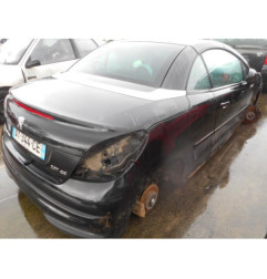 Custode arriere gauche PEUGEOT 207