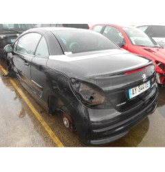 Custode arriere gauche PEUGEOT 207