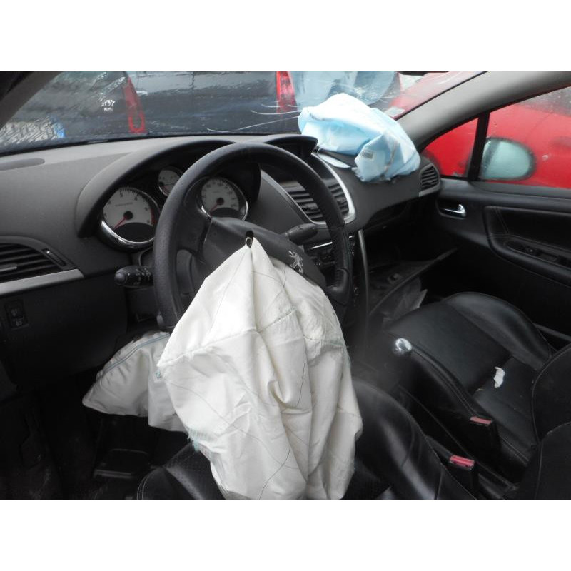 Custode arriere gauche PEUGEOT 207 Photo n°5