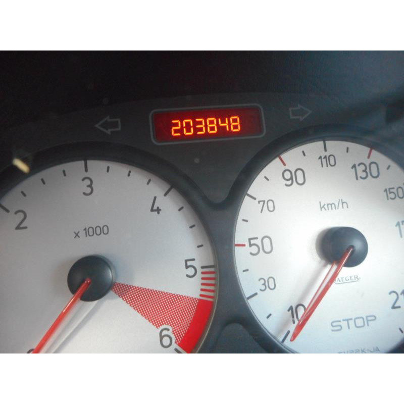 Porte arriere gauche PEUGEOT 206 Photo n°9
