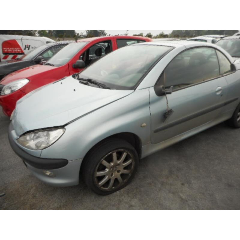 Custode arriere droit PEUGEOT 206 Photo n°1