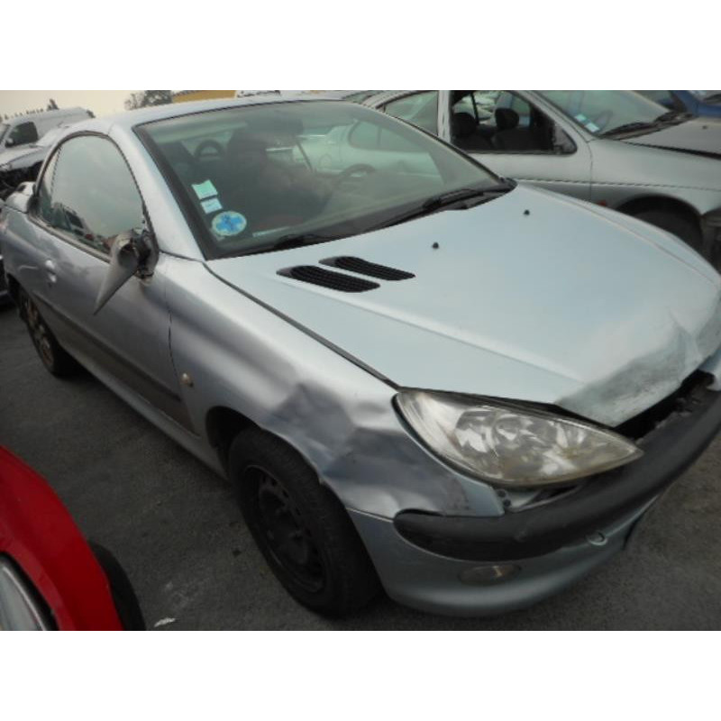 Custode arriere droit PEUGEOT 206 Photo n°2
