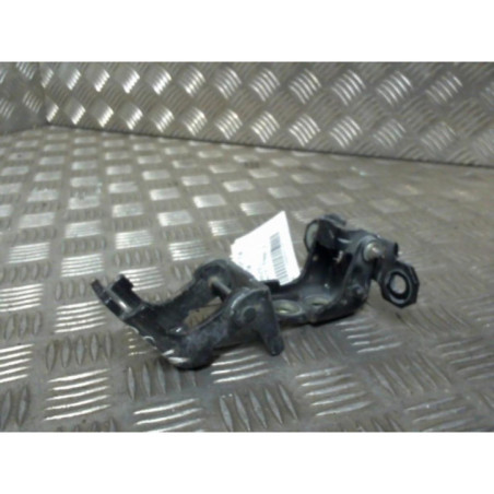Charniere de porte arriere gauche RENAULT MEGANE 3 Photo n°1