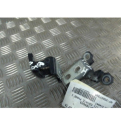Charniere de porte avant droit RENAULT MEGANE 3 Photo n°1