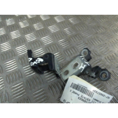 Charniere de porte avant droit RENAULT MEGANE 3 Photo n°1