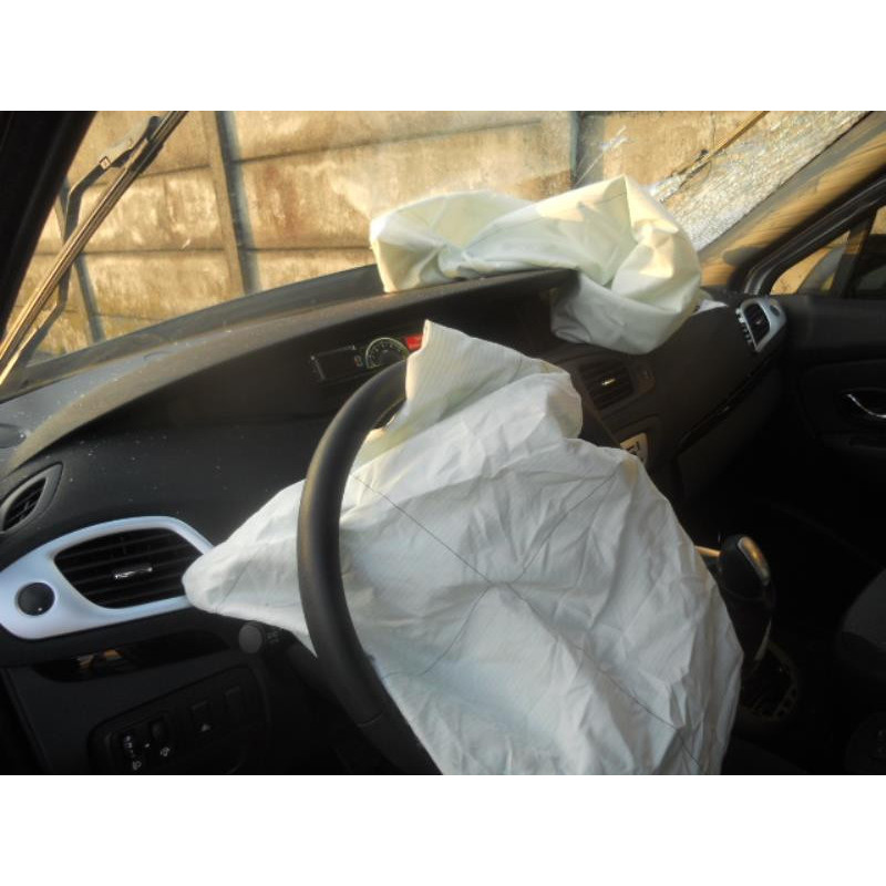 Poignee interieur avant gauche RENAULT SCENIC 3 Photo n°9