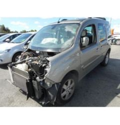 Bouton de warning RENAULT KANGOO 2