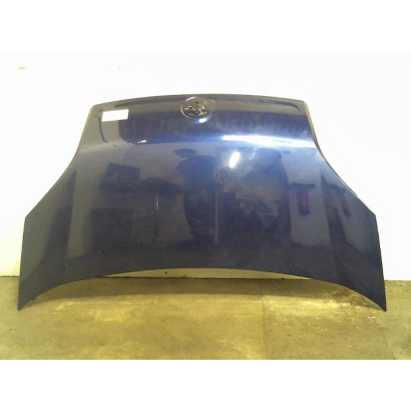 Capot FIAT QUBO Photo n°1
