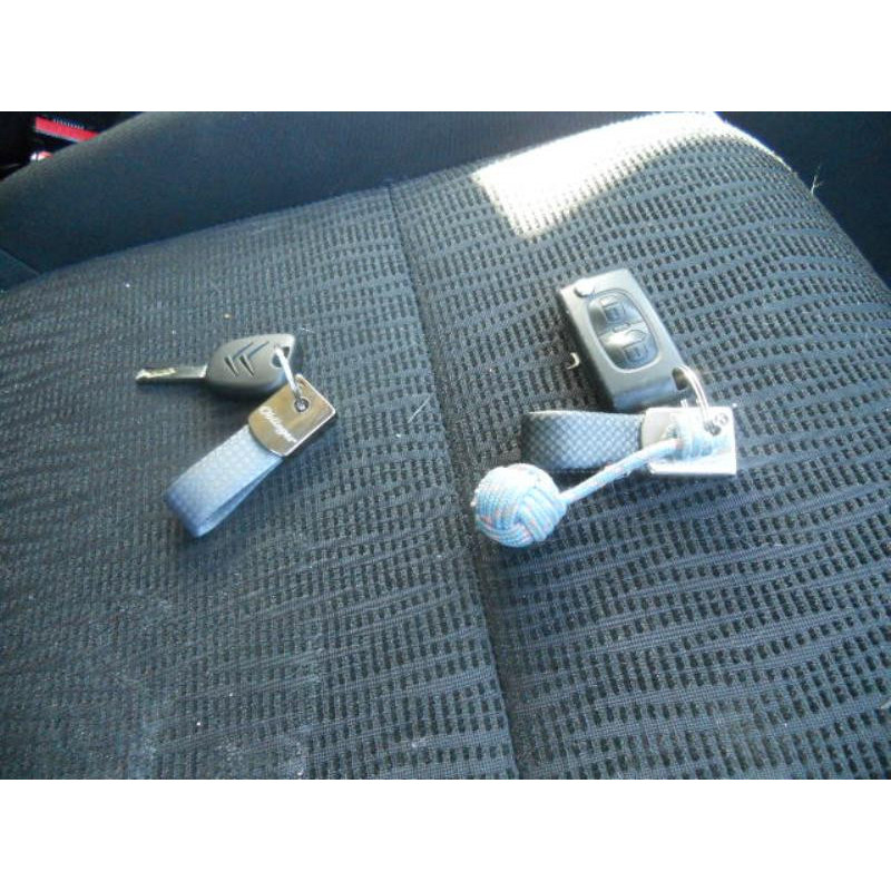 Poignee interieur arriere gauche CITROEN C3 PICASSO Photo n°9