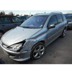 Porte arriere gauche PEUGEOT 206