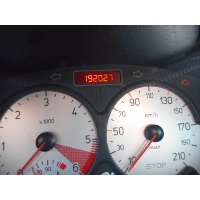 Porte arriere gauche PEUGEOT 206 Photo n°10