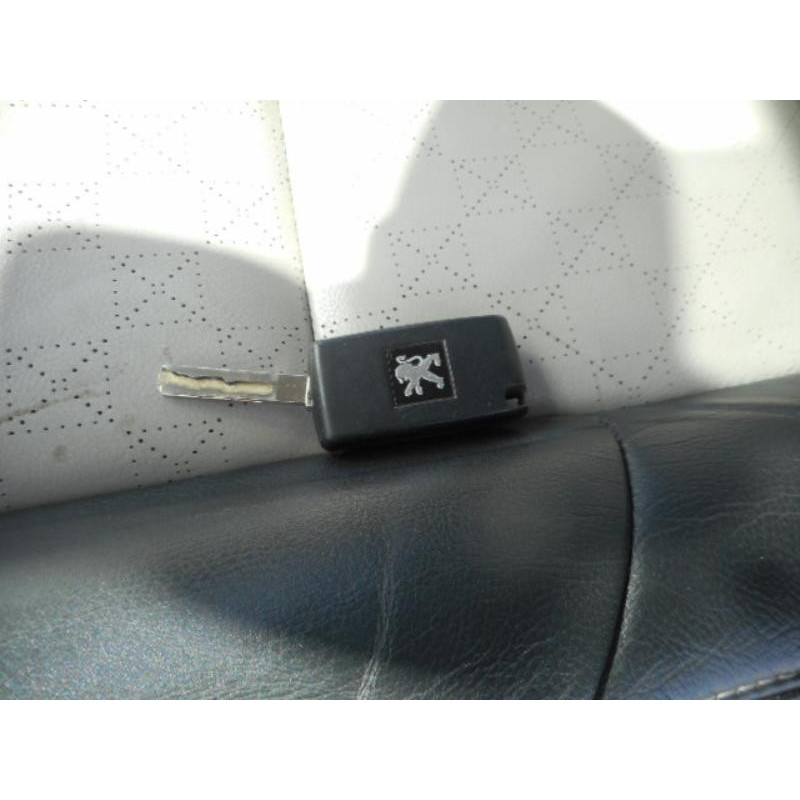 Malle/Hayon arriere PEUGEOT 207 Photo n°10