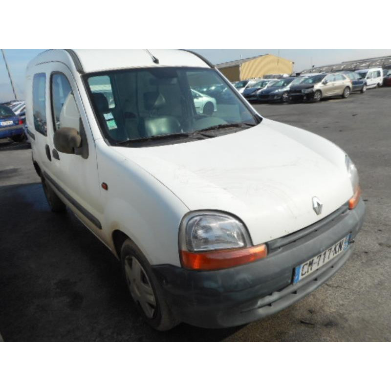 Porte de coffre droit RENAULT KANGOO 1 Photo n°4