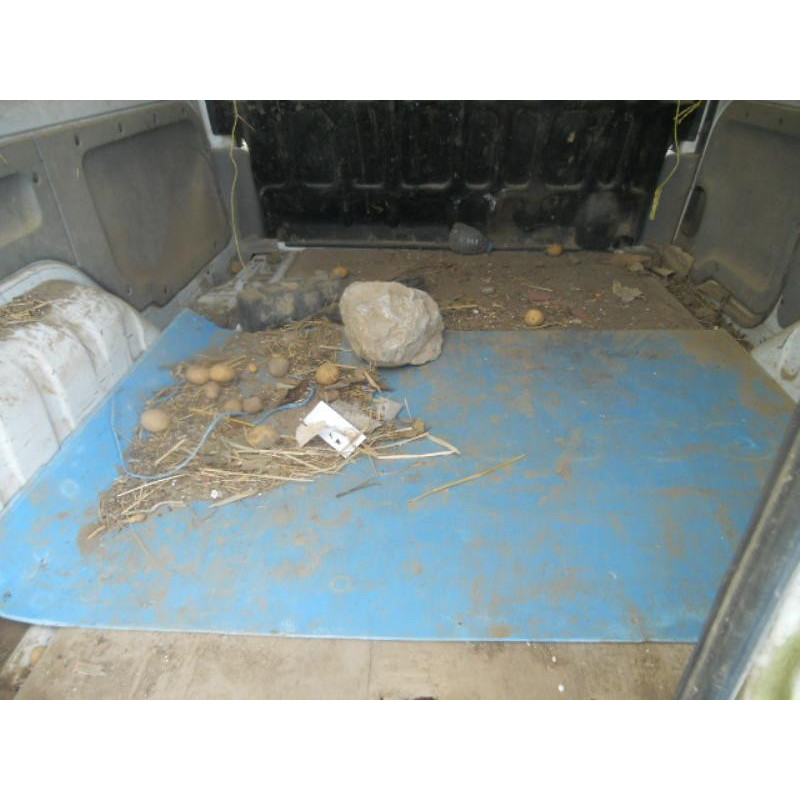 Poignee porte avant droit RENAULT KANGOO 1 Photo n°8