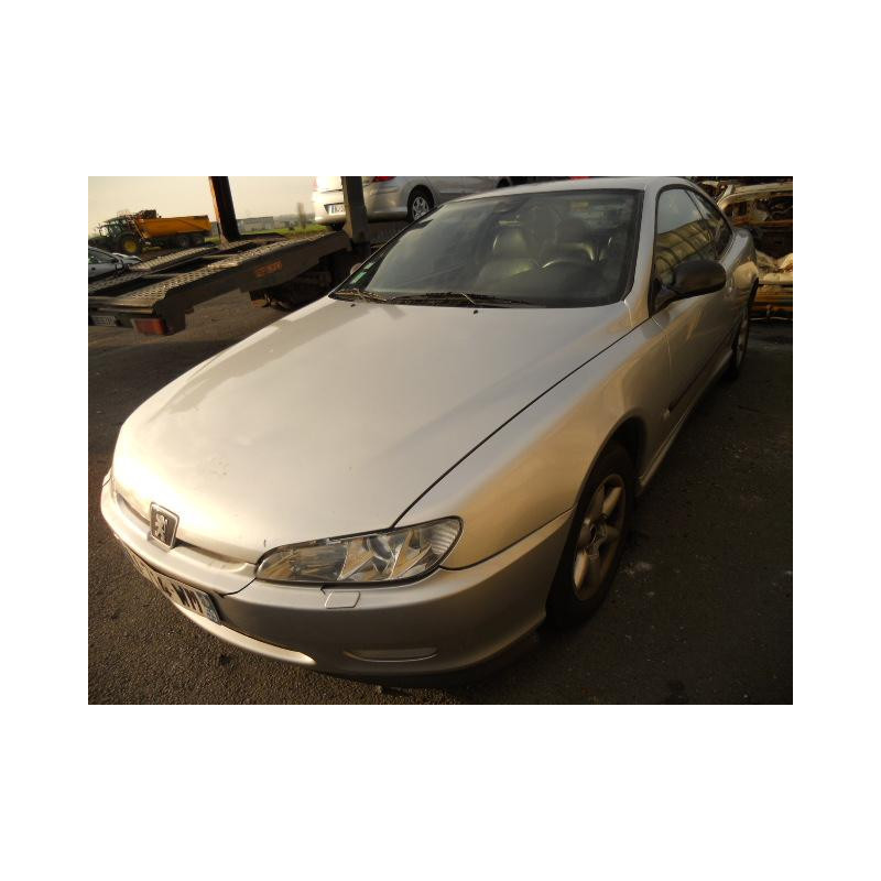 Custode arriere gauche PEUGEOT 406 Photo n°1