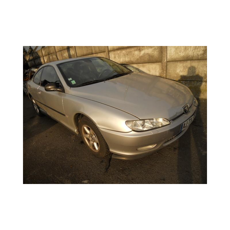 Custode arriere gauche PEUGEOT 406 Photo n°2
