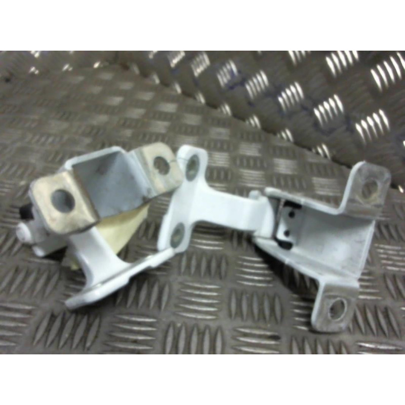 Charniere de porte de coffre droit RENAULT KANGOO 2 Photo n°1