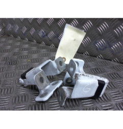 Charniere de porte de coffre gauche RENAULT KANGOO 2 Photo n°1