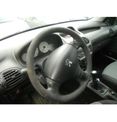Porte arriere gauche PEUGEOT 206