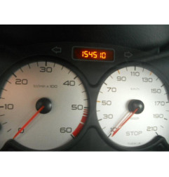 Porte arriere gauche PEUGEOT 206