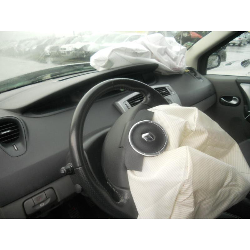 Poignee interieur avant gauche RENAULT GRAND SCENIC 2 Photo n°9