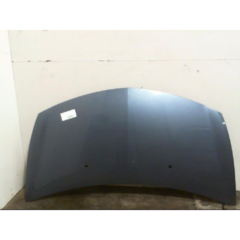 Capot RENAULT CLIO 3 Photo n°1