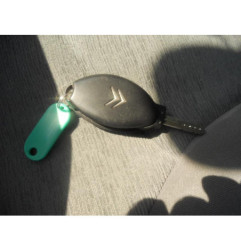Porte arriere gauche CITROEN C5 1