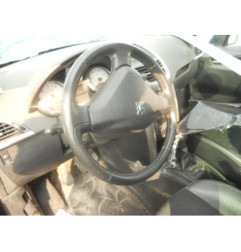 Porte arriere gauche PEUGEOT 207