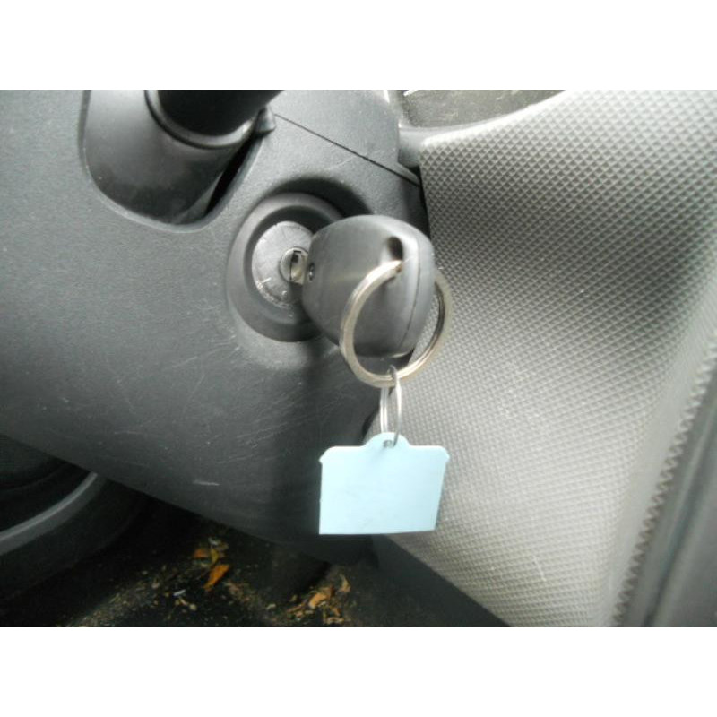 Charniere de porte arriere gauche DACIA SANDERO 1 Photo n°9