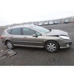 Porte arriere gauche PEUGEOT 407
