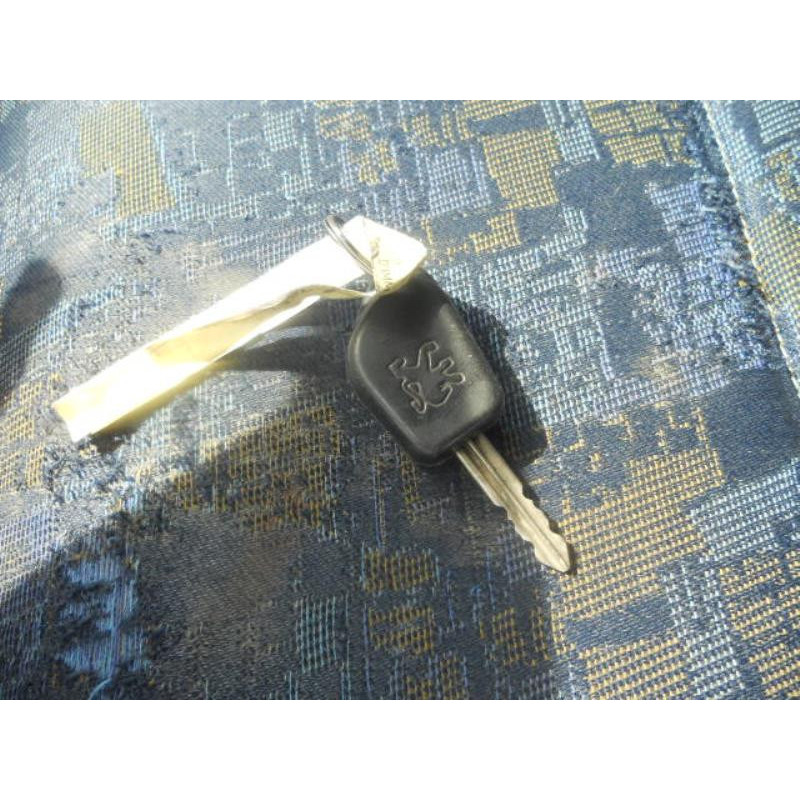 Custode arriere droit PEUGEOT PARTNER 1 Photo n°7