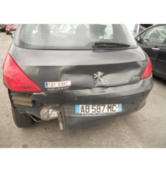 Mastervac PEUGEOT 308 1