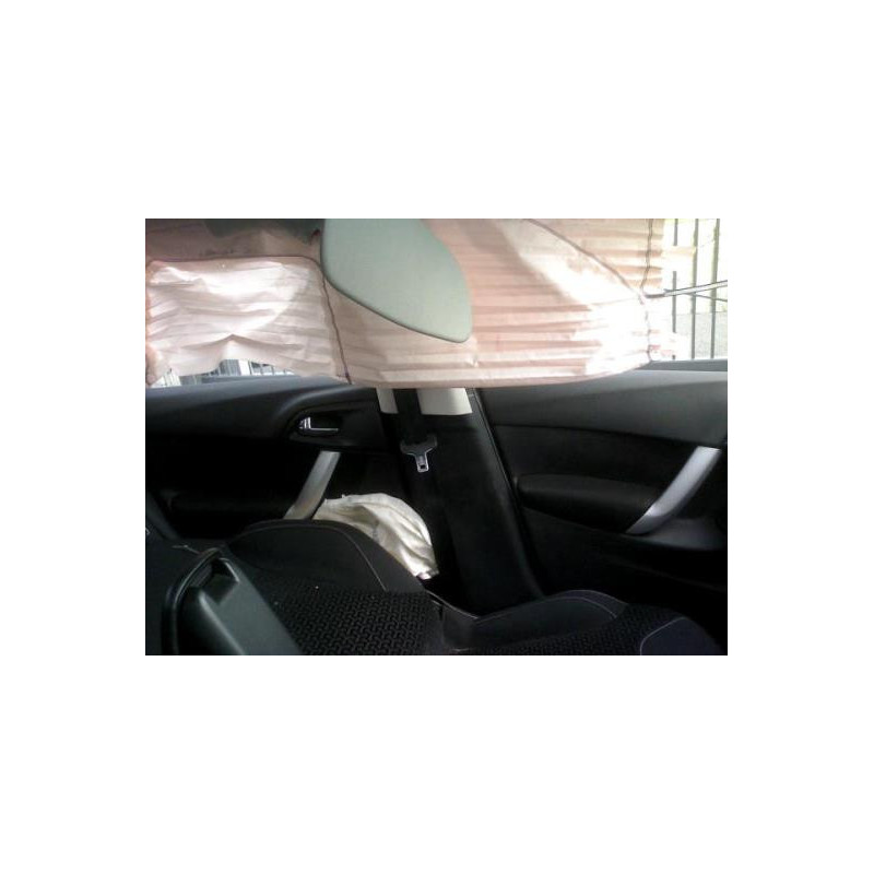 Poignee interieur arriere gauche CITROEN C3 2 Photo n°9