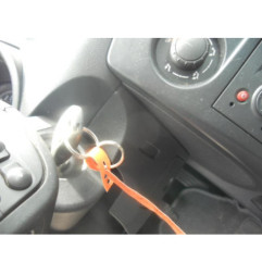 Bouton de warning RENAULT CLIO 3