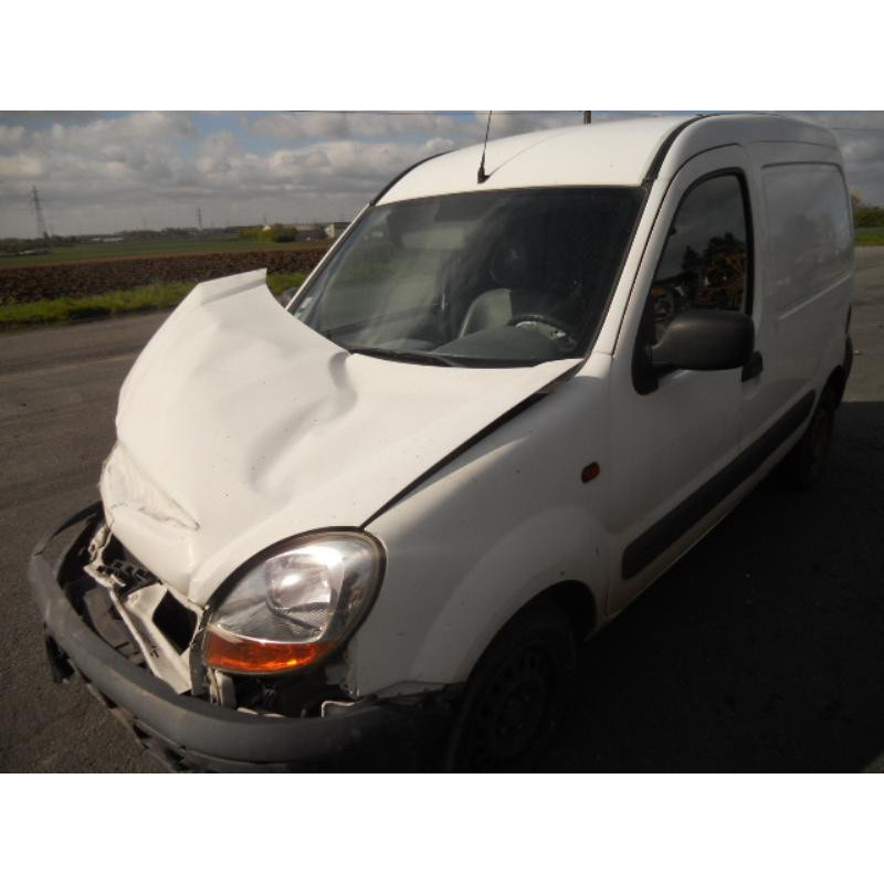 Porte de coffre droit RENAULT KANGOO 1 Photo n°3