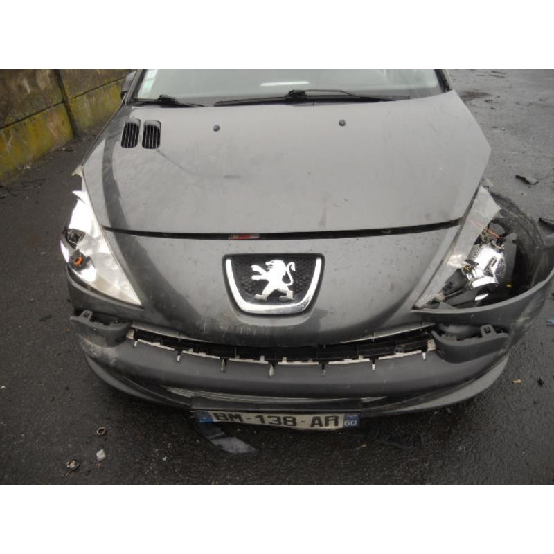Bouton de warning PEUGEOT 206+ Photo n°5