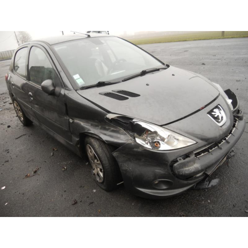 Bouton de warning PEUGEOT 206+ Photo n°6