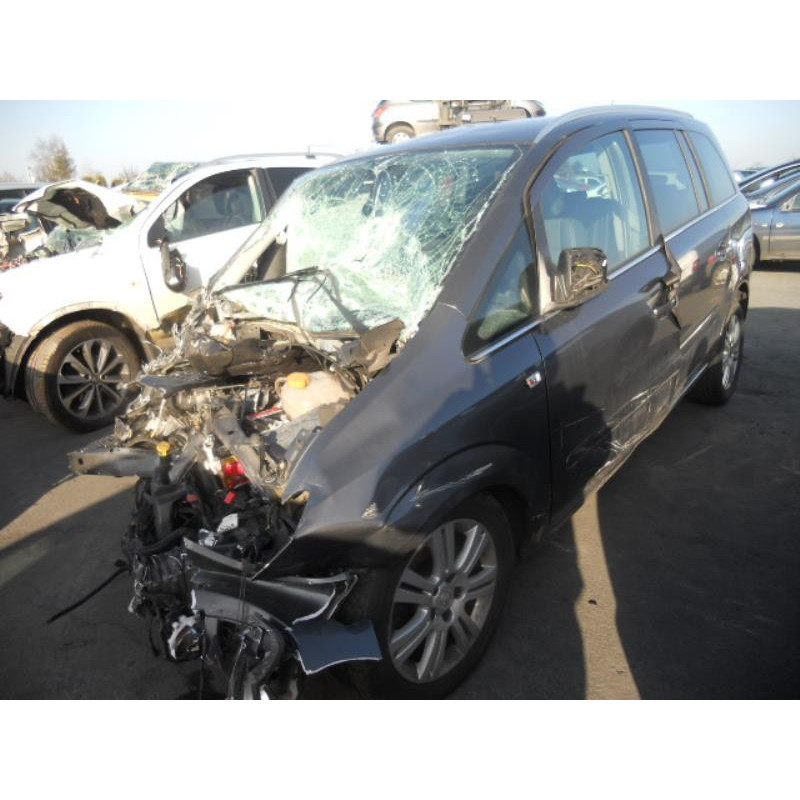 Eclairage de plaque OPEL ZAFIRA B Photo n°4