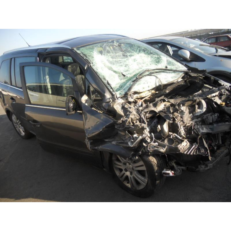 Eclairage de plaque OPEL ZAFIRA B Photo n°6