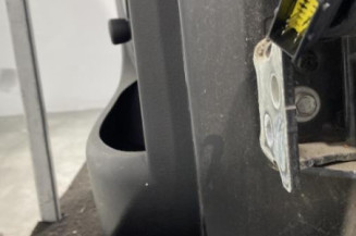 Porte arriere gauche PEUGEOT 207