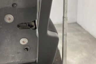 Porte arriere gauche PEUGEOT 207