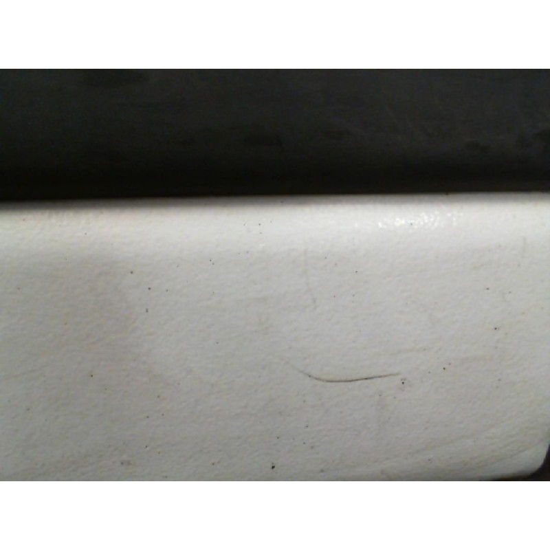 Porte avant droit NISSAN INTERSTAR 1 Photo n°3