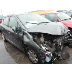 Mastervac PEUGEOT 207