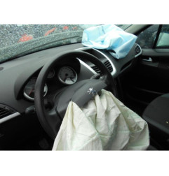 Mastervac PEUGEOT 207