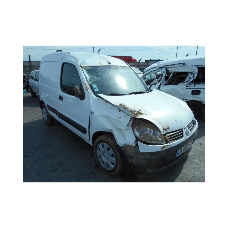 Porte de coffre droit RENAULT KANGOO 1 Photo n°3