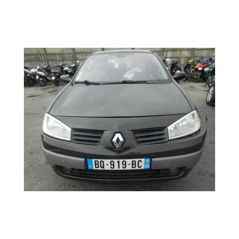 Eclairage de plafonnier RENAULT MEGANE 2 Photo n°3